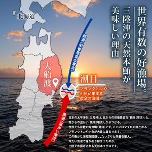 【スピード発送】 訳あり 天然本まぐろ 赤身300g以上 まぐろ