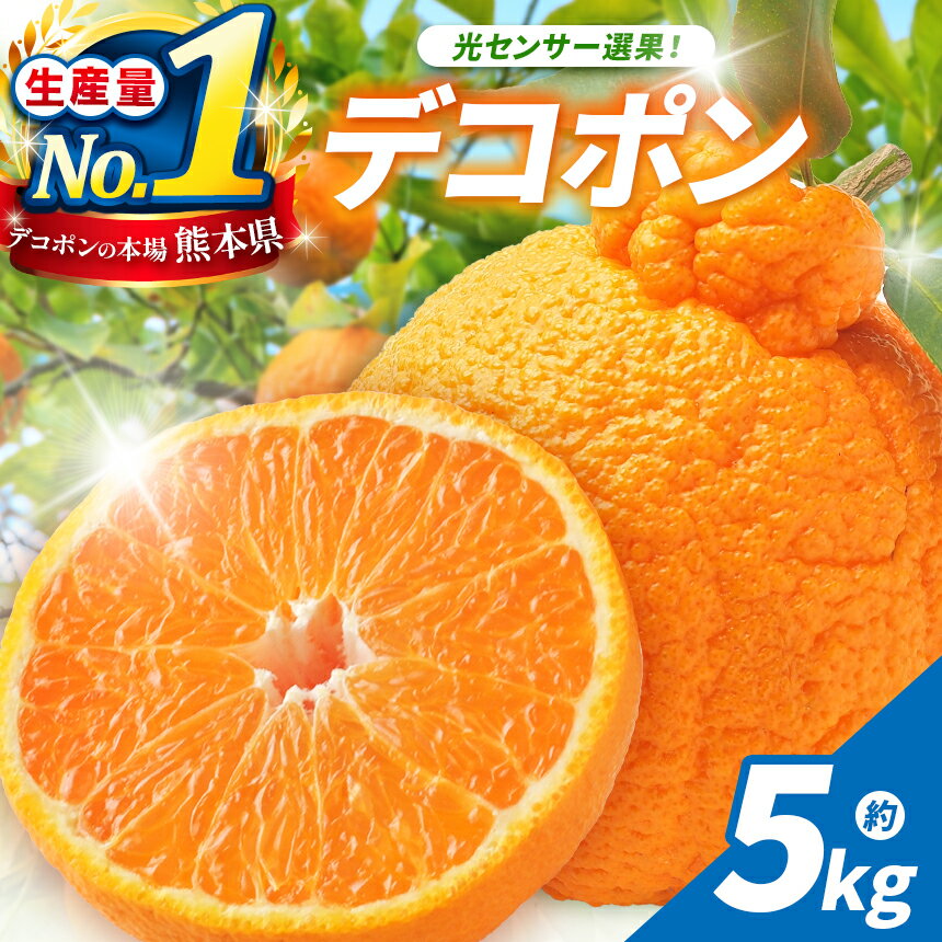 【ふるさと納税】光センサー 選果！ 熊本県産 デコポン 約 5kg | 果物 くだもの フルーツ 柑橘 柑橘類 でこぽん 不知火 みかん 旬 味覚 熊本県 玉名市 送料無料 産地直送