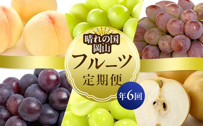 桃 ぶどう 梨 定期便 2024年 先行予約 晴れの国 岡山 の フルーツ 定期便 6回コース もも 葡萄 なし 岡山県産 国産 セット ギフト