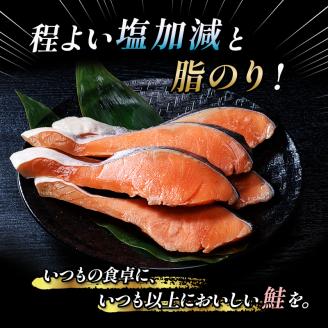 【特選】特盛銀鮭切り身 約2.4kg サケ さけ 銀鮭 ぎんしゃけ ご飯のお供 北海道 海産物 魚 お弁当 おかず 朝食 _F4F-2251