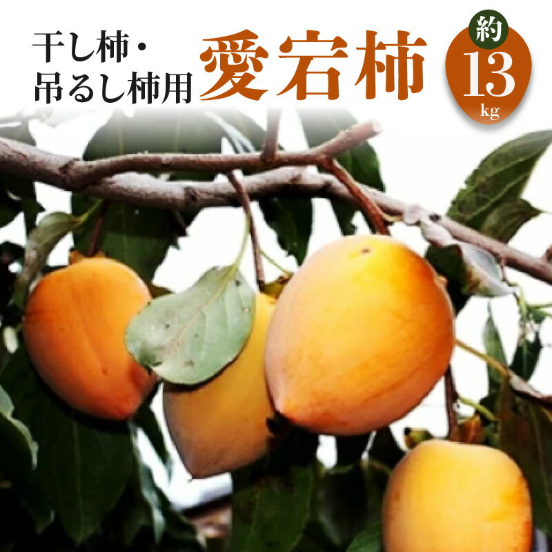 【ふるさと納税】【配送不可地域：北海道・沖縄県・離島】干し柿・吊るし柿用「愛宕柿」約13kg 柿 かき kaki 直送 旬 健康効果 栄養価 送料無料 フルーツ 果物 お取り寄せグルメ 御取り寄せグルメ 詰め合わせ 詰合せ 詰合わせ 秋 旬 五色青果