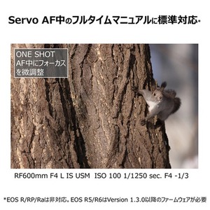Canon 大口径・望遠レンズ RF600mm F4 L IS USM