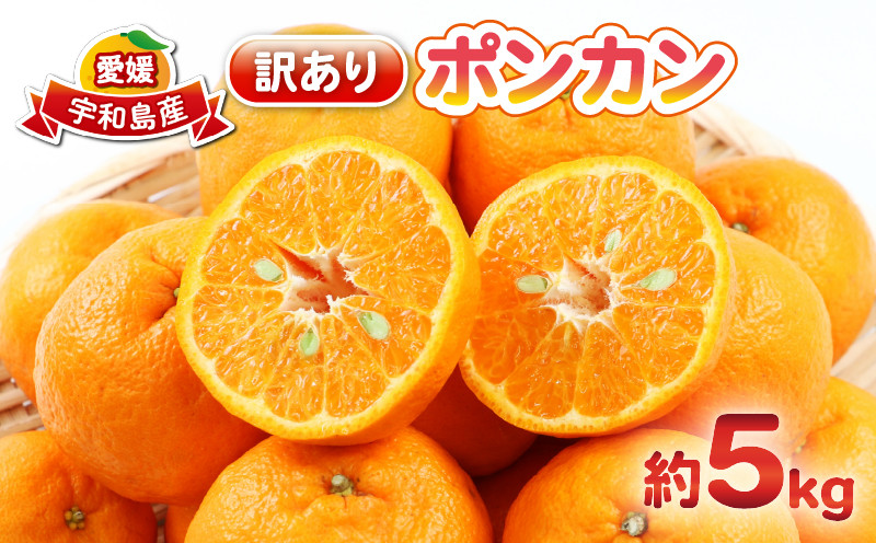 
            ポンカン 5kg 訳あり ぽんかん 杉本屋  訳あり品 先行予約 mikan みかん 訳アリ 訳有りジューシー デザート コク 甘い 果物 くだもの フルーツ 柑橘 蜜柑 ビタミン お取り寄せ 愛媛みかん 愛媛蜜柑 愛媛県産 産地直送 数量限定 国産 愛媛 宇和島 B010-143005
          