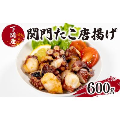 ふるさと納税 下関市 関門 タコ からあげ 600g たこ 唐揚げ EY024