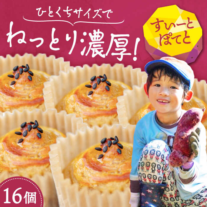 【ふるさと納税】【お中元対象】さつまいも 芋 ひとくちサイズの スイートポテト 16個セット さつまいも 芋 サツマイモ 人気 お菓子 スイーツ 美味しい 和菓子 ギフト プレゼント 江田島市/峰商事合同会社[XAD015] さつまいも 芋 サツマイモ やきいも スイーツ お菓子
