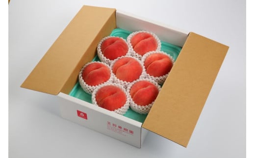 08-03-012　かたいもも(白桃)2kg