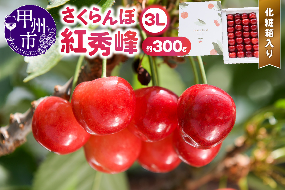 
            甲州市産大粒さくらんぼ童夢の「紅秀峰」化粧箱（約300g 3Lサイズ）【2025年発送】（DOM）B15-185
          