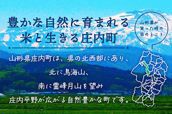 ＜3月下旬発送＞庄内米6か月定期便！JAあまるめ PREMIUMつや姫 2kg（入金期限：2026.2.25） 3月下旬発送 2kg