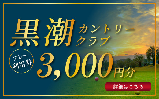 
kochi黒潮カントリークラブ ご利用券 3,000円
