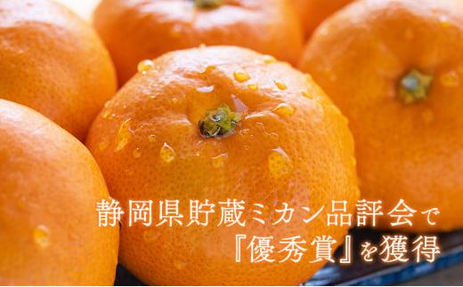 【2026年12月下旬より順次発送】至福の青島みかん 約5kg 望月自然農園 静岡県貯蔵ミカン品評会優秀賞 フルーツ 柑橘 オレンジ みかん◆