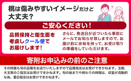 【2027年先行予約】桃 紀の里の 桃 約4kg