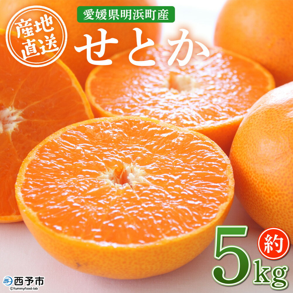 【ふるさと納税】先行予約受付＜産地直送 愛媛県明浜町産 せとか 約5kg＞ セトカ 果物 くだもの みかん ミカン 柑橘 フルーツ 柑橘類 果実 高級 糖度 果汁 柑橘の大トロ 甘い 国産 5キロ 特産品 宇都宮農園 愛媛県 西予市【常温】『2026年3月上旬～3月下旬迄に順次出荷予定』
