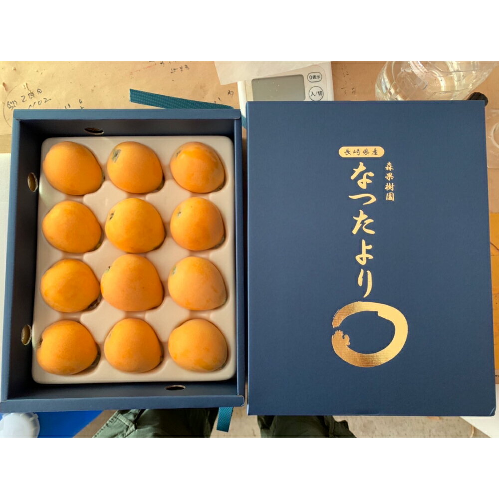 【ふるさと納税】先行予約開始！枇杷「なつたより」 1kg | びわ ビワ フルーツ くだもの 果物 果実 ギフト プレゼント 贈り物 贈答 長崎県産 国産 九州 長崎県 長崎市 送料無料 【2026年5月上旬～下旬迄発送予定】