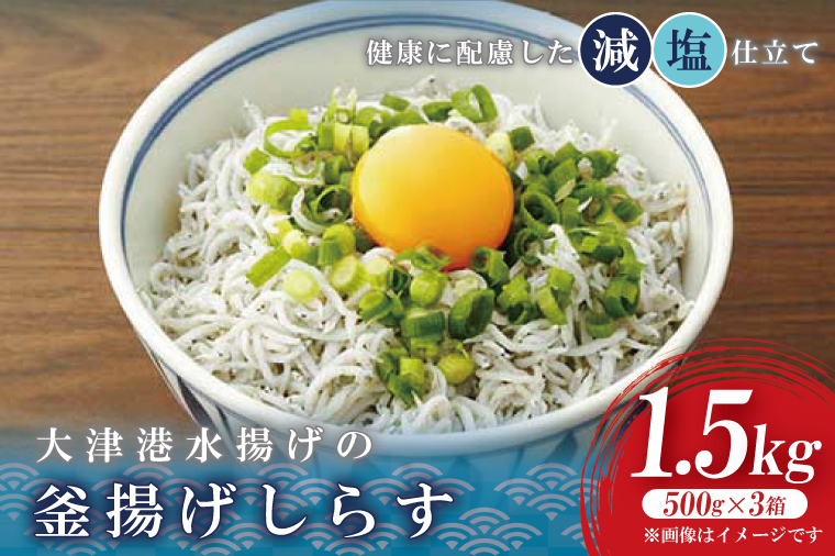 大津港水揚げの釜揚げしらす　1.5kg(500g×3箱) (AS210)
