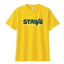 【ふるさと納税】宇都宮ブレックスの2023-24 スローガンTシャツ「STRIVE」(1)〈イエロー:XXLサイズ〉【1434866】