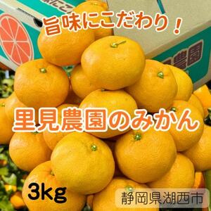 【旨味にこだわり】里見農園のみかん Mサイズ 3kg【1697683】