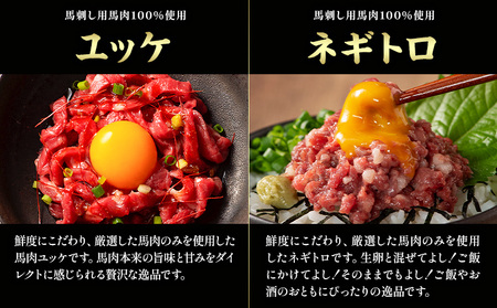 馬肉 熊本特産 フジチクオリジナル ふじ 馬刺し 堪能 セット 道の駅竜北  熊本県 氷川町 肉 馬肉 メン 大トロ 中トロ ヒレ シャトーブリアン ロース ランプ 上赤身 ネギトロ ふじ馬刺し セッ