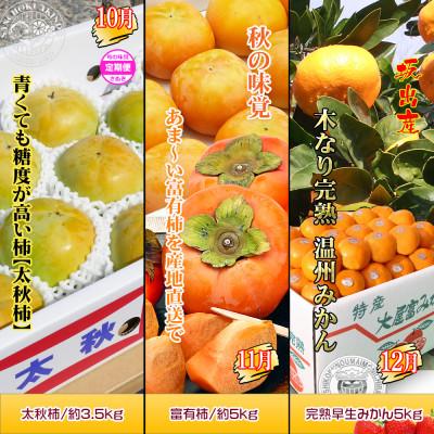 ふるさと納税 坂出市 【発送月固定定期便】創業100年坂出産のフルーツとさぬきの特産品の定期便【Cコース9回】全9回 |  | 03