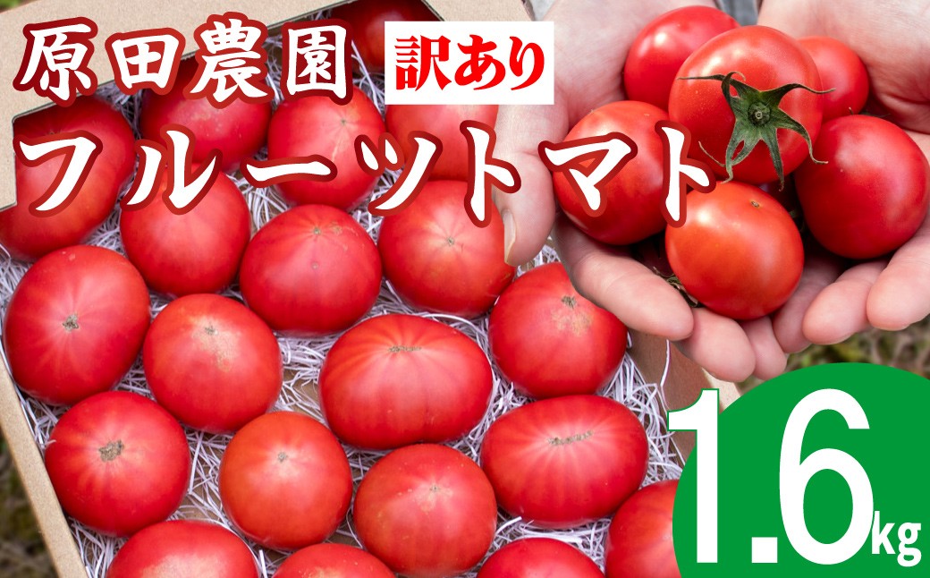 
                  【2026年12月下旬～5月頃発送】＜訳あり フルーツトマト 原田農園 約1.6kg 箱入＞ 桃太郎 家庭用 ワケあり 変形 キズあり 高知県 佐川町
                