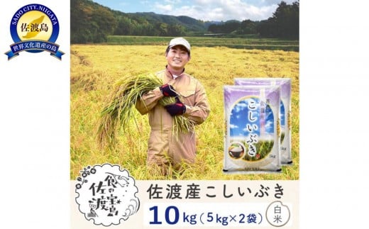 
            【新米予約】佐渡島産こしいぶき 白米10Kg(5Kg×2袋） 令和7年 ～農薬5割減～ 農家直送
          