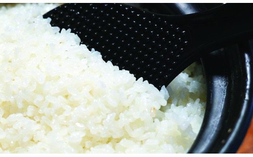 新米予約！令和７年産「特別栽培米」水源のしずく　2kg