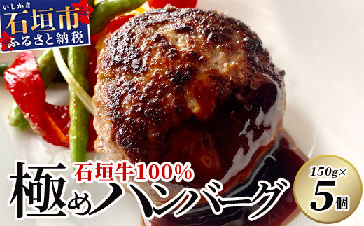 
石垣牛 100% 極めハンバーグ 150g×5個 ≪肉職人が作ったこだわりハンバーグ≫ 【石垣牛 沖縄県 石垣市 石垣島 牛肉 牛 肉 黒毛和牛】 TM-5
