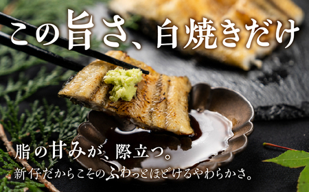 うなぎ晴々 白焼き 新仔 2尾 うなぎ