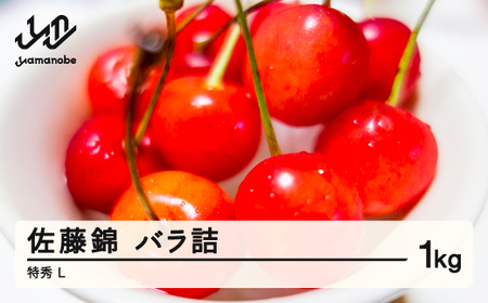 《先行予約》2026年 山形県産 さくらんぼ 佐藤錦 バラ詰 1kg 特秀 L 2026年6月上旬頃から順次発送 mg-snbrx1000