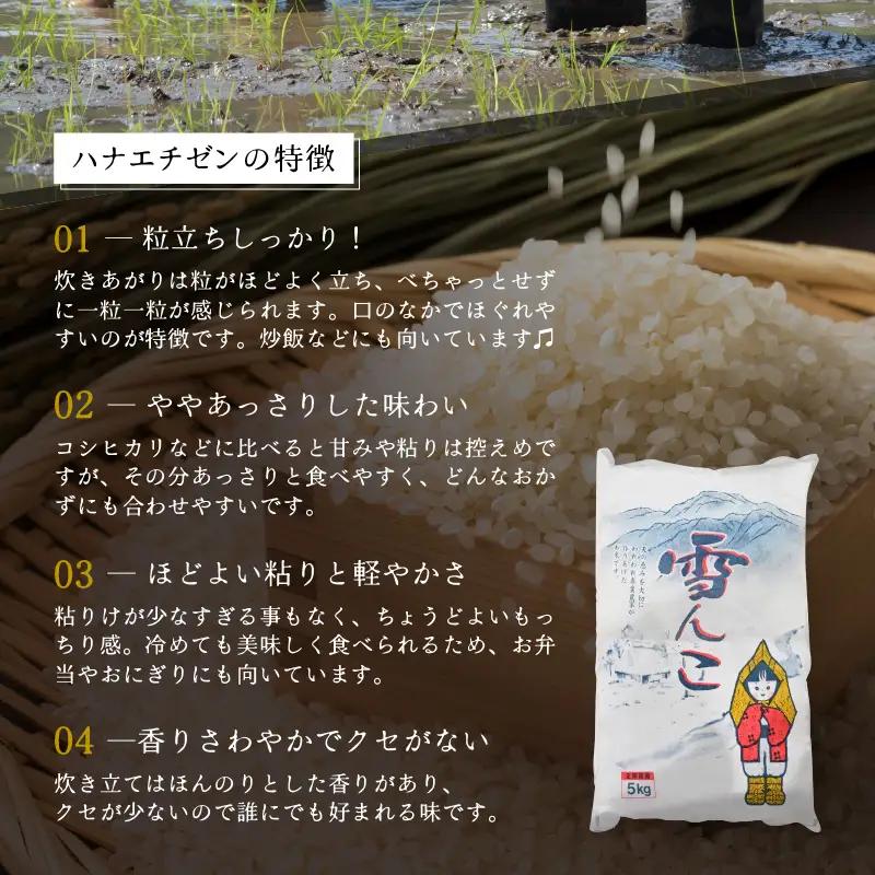 【先行予約】【令和8年産・新米】ハナエチゼン 5kg【玄米】【2026年10月中旬以降順次】 華越前 人気品種  福井県ブランド  [e26-a014_02]