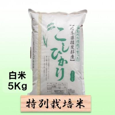 ふるさと納税 池田町 【令和7年産】特別栽培米 5kg【白米】(コシヒカリ)
