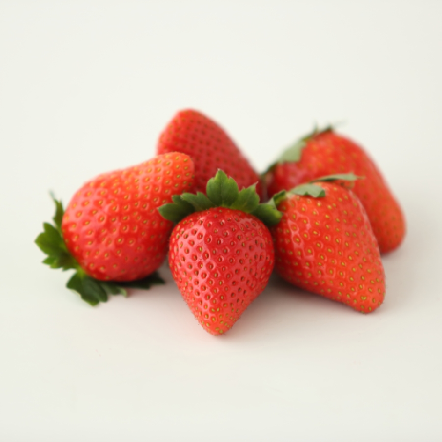 贈答用大粒いちご (まりひめ) 400g以上