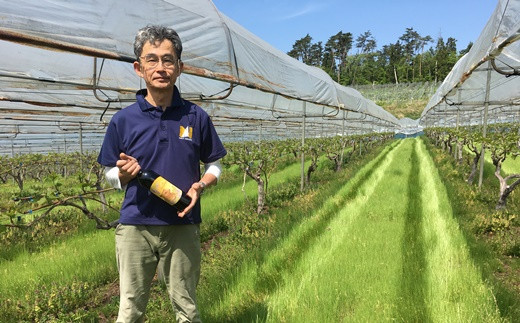 大迫佐藤葡萄園 ツヴァイゲルトレーベ2本 【828】