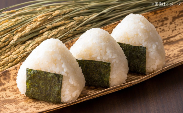 【全6回定期便】五ツ星お米マイスター厳選 エコ栽培米 恵の上意東産「コシヒカリ」5kg×6回 島根県松江市/株式会社沼田米穀店 [ALBU008]
