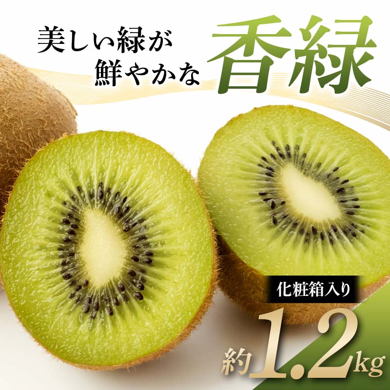 【ふるさと納税】【先行予約】《2026年11月下旬～12月下旬頃お届け》 キウイ 美しい緑が鮮やかな 香緑 こうりょく 化粧箱約1.2kg 国産 香川 果物 キュウイ キューイ フルーツ 旬 香川県 香川県共通返礼品 F5J-540
