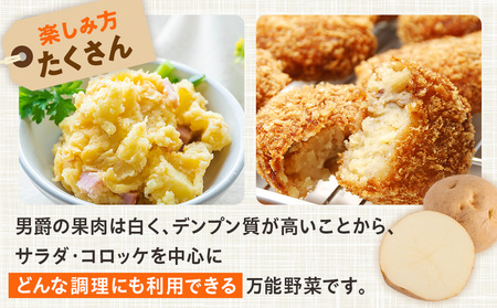 R7年産先行受付 じゃがいも 5kg 特別栽培（男爵） | ジャガイモ 芋 男爵 馬鈴薯 大容量 新鮮 野菜 煮物 カレー シチュー ポテト 保存 特産 産地直送 北海道 津別町 送料無料