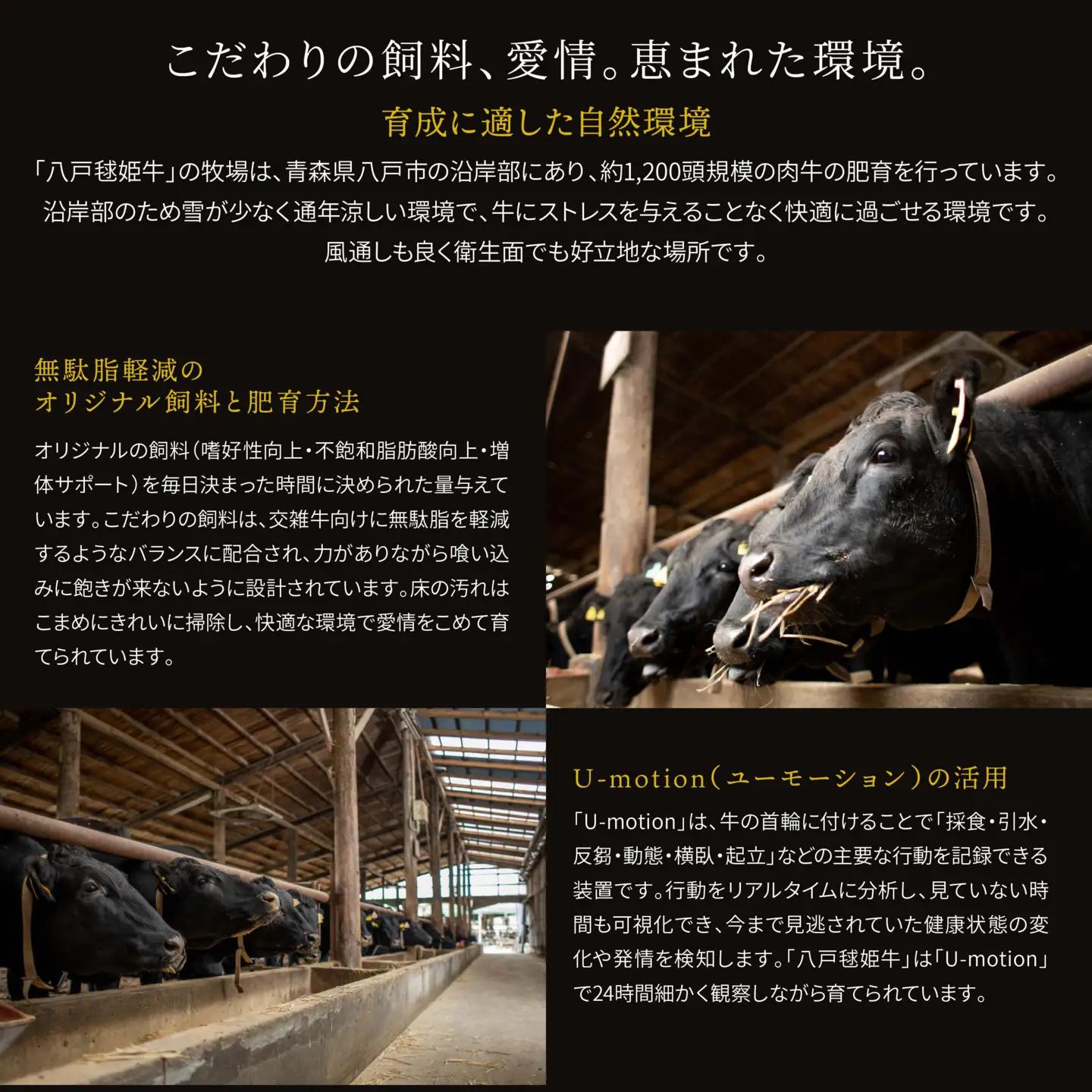八戸 毬姫牛 切り落とし 700g 牛肉 国産　