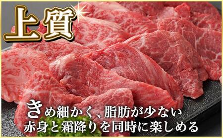 宮崎牛ヒレ焼肉用600g≪みやこんじょ快速便≫_AF-8902-R_(都城市) 宮崎県産宮崎牛 ヒレ焼肉用 焼肉用カット ヒレ肉 冷凍配送