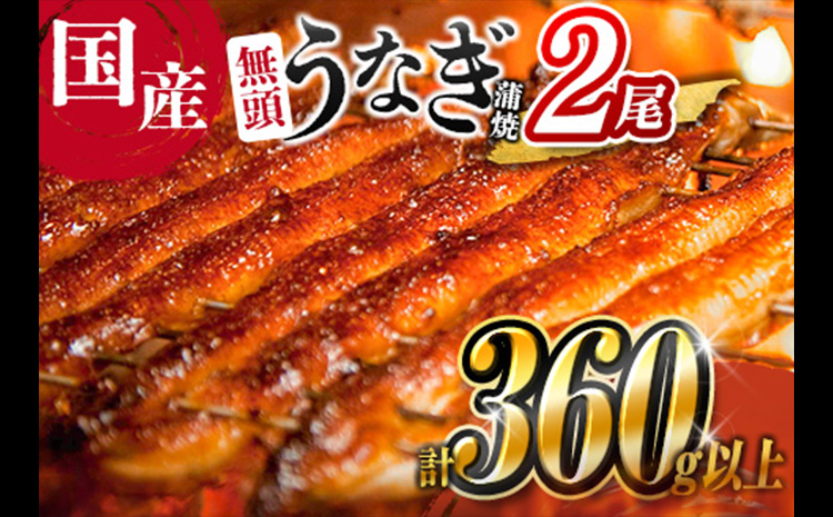 ［2026年1月お届け］うなぎ 鰻楽 国産 蒲焼 2尾 人気 無頭 計360g以上 贈答品 ギフト【B555-2601】