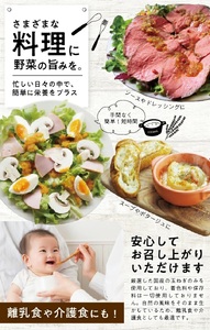 冷凍玉ねぎペースト1.0kg(500g×2袋) 冷凍便 ※離島発送不可 冷凍 たまねぎ 玉ねぎ 玉葱 野菜 野菜ペースト 離乳食 介護食 小分け ゆざ食彩工房 遊佐町 庄内 東北 [1432TN100