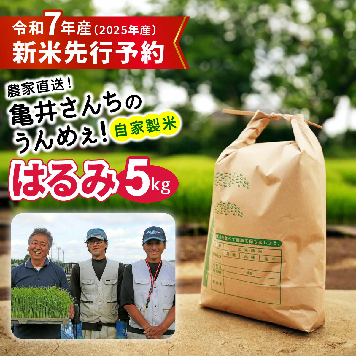 【ふるさと納税】新米 [令和7年産] 伊勢原産 精米 5kg はるみ 農家直送！亀井さんちのうんめぇ！自家製米｜お米 おこめ コメ 白米 神奈川 伊勢原 ブランド米 2025年 産地直送 先行予約 予約受付 [0317]