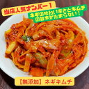 【ふるさと納税】【当店人気No1】迷ったらコレ！ネギキムチ（200g×5袋）｜ キムチ 惣菜 ねぎ おつまみ おかず 無添加 冷凍 発酵食品 人気 手作り 数量限定 | 食品 発酵 加工食品 人気 おすすめ 送料無料