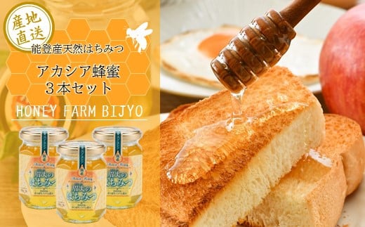 
            天然 国産 蜂蜜 175g 3本 アカシア 非加熱 農家 熟成 手作業 無加糖 無調整 優しい 甘い 香り 上品な 甘さ 純粋 はちみつ 国産はちみつ ハチミツ ハニー hani- honey hachimitsu アカシア蜜 こだわり 山の恵み 純粋蜂蜜 純粋はちみつ 天然蜂蜜 天然はちみつ みつばちファーム眉丈 石川 能登 羽咋 災害 復興 支援 復興支援
          