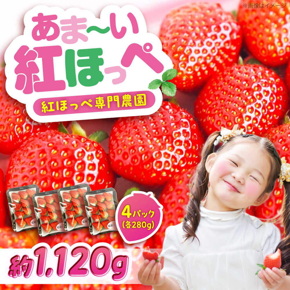 【ふるさと納税】【先行予約】紅ほっぺ 280g×4パック 2026年1月以降順次発送 おすすめ 人気 送料無料 産地直送 新鮮 甘い 大粒 ブランドいちご 詰め合わせ 贈り物 いちご 苺 イチゴ 紅ほっぺ フルーツ 紅ほっぺ ストロベリー 広島県福山市/立花いちご農園[BAFN001]