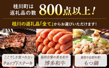 【あとから選べる】桂川町ふるさとギフト 30万円分[ADBV009]