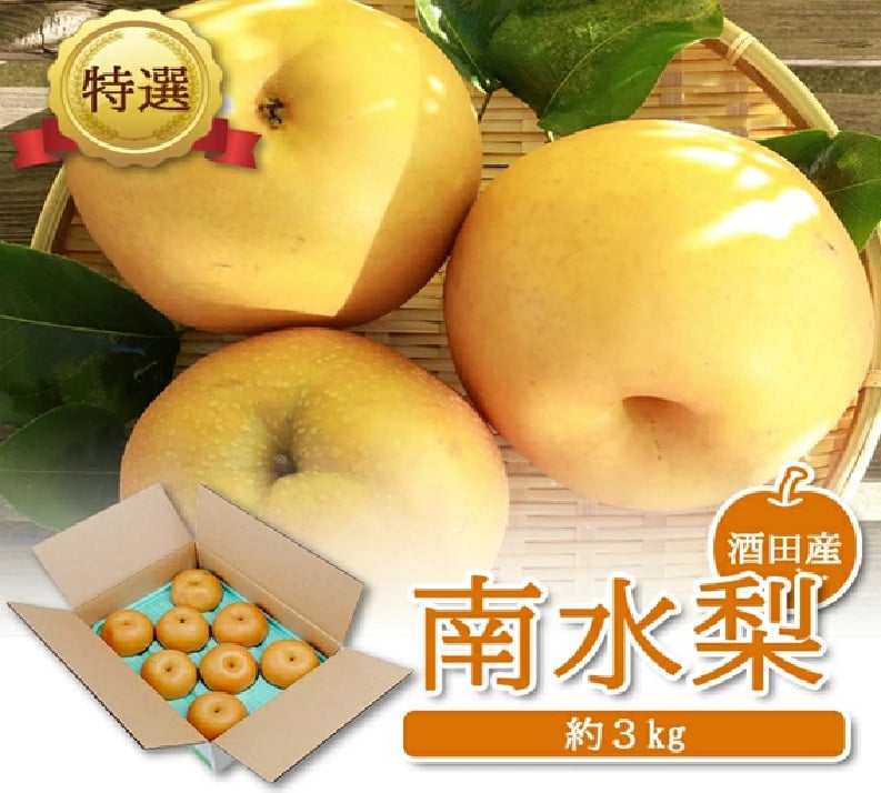 
            SA2641　酒田産【特選】 南水梨　約3kg(5～9玉入)
          