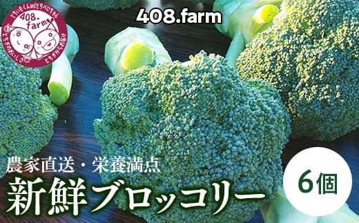 農家直送・栄養満点☆新鮮ブロッコリー！ ※2024年11月中旬頃～順次発送予定