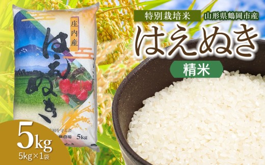 【令和8年産 新米】斎藤農場の特別栽培米 はえぬき 精米 5kg(5kg×1袋)  山形県鶴岡市 [K-837]  | 5キロ 米どころ 庄内米 ブランド米 米 コメ こめ 精米 ご飯 ごはん 美味しい お取り寄せ 農家直送 東北 山形 鶴岡市 国産 おすすめ 人気 返礼品