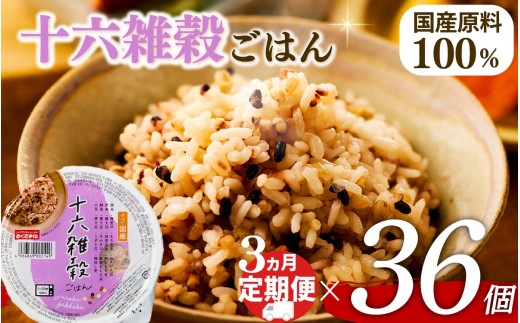 定期便 3回 十六雑穀 ごはんパック 160g 36個 パックごはん パックご飯 ごはんパック ご飯パック パックライス パック 16雑穀 雑穀 米 ごはん ご飯 こめ ライス 備蓄 保存 防災 レンジ 調理 簡単 レンチン 温めるだけ 栄養 ヘルシー 国産 36 36食 レトルト インスタント おいしい 人気 おすすめ おくさま印 大阪 松原