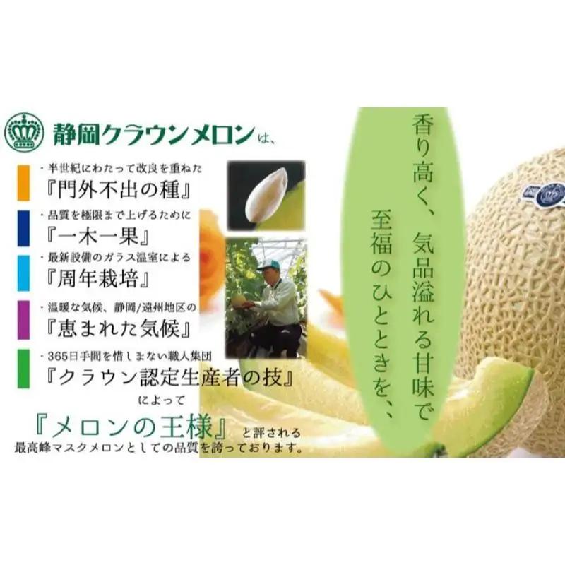 アイススティック 10本 化粧箱 冷凍 フルーツ メロン