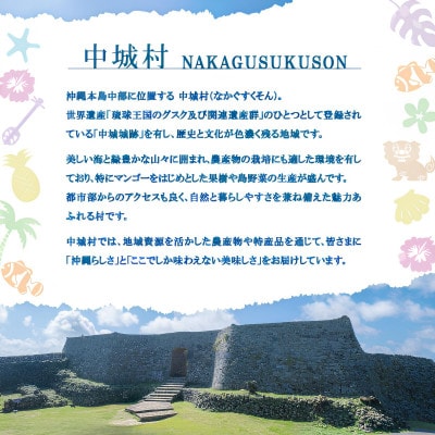 【2026年6月より順次発送】中城村産の天然太もずく 5.0kg(500g×10P)【配送不可地域：離島】